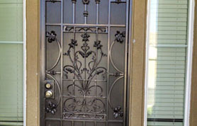 Iron Floral Security Door